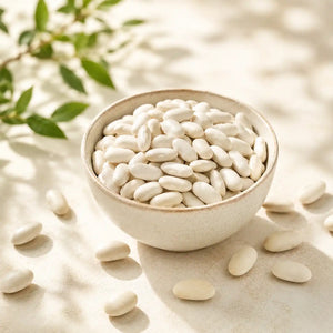 White Kidney Bean